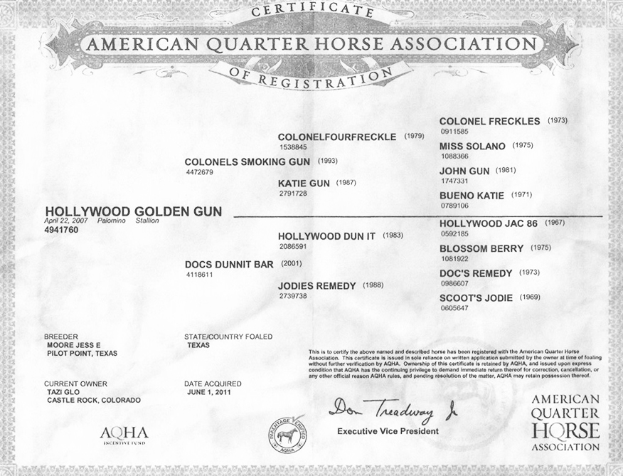 Hollywood Golden Gun is a 2007 double registered APHA and AQHA stallion with NRHA lifetime earnings of $62,275 and over 200 AQHA points.