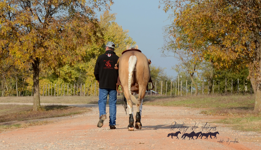 Here at Shane Brown Performance Horses we believe that it not only takes a dynamic head trainer and an exceptional assistant trainer to make a successful business, it also takes a winning team of family support and incredible clientele. Without all of these individual ingredients we simply wouldn’t be here! We share our success and our determination with the finest selection of non-pros and the most supportive family in the state.