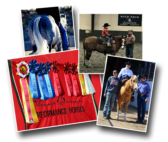 It isn’t only the equine half of the partnership that we work on. Shane Brown and Emily Emerson are experienced and successful riding and showmanship coaches as well. While most of our clients have a horse they keep in training, we do offer some outside coaching services for those that need help at shows or just want to come take lessons to better their skills. 